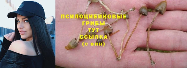 эйфоретик Беломорск